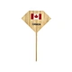 Beef Stick Picks with custom logo printing